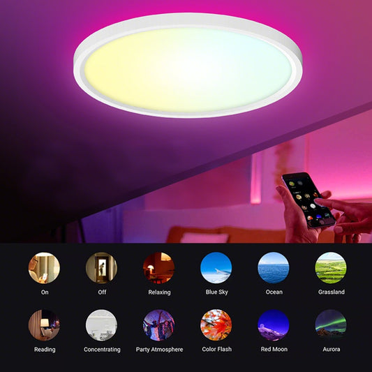 Smart Ceiling Light, Flush Mount Light Fixture, DIY Colors, for Bedroom, Living Room