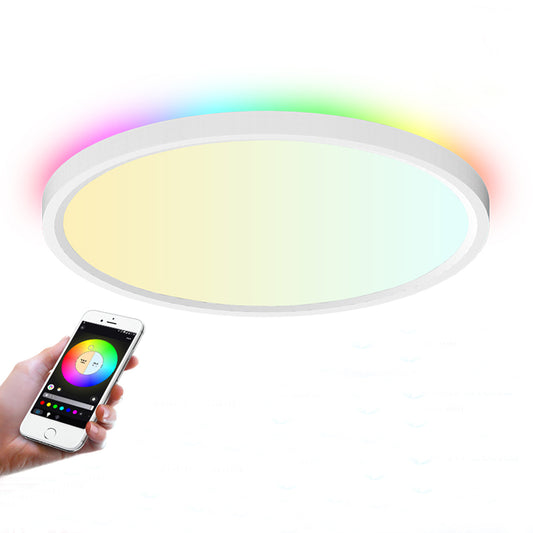 Smart Ceiling Light, Flush Mount Light Fixture, DIY Colors, for Bedroom, Living Room